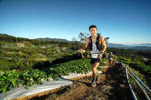 BIB: 9715
                            <button type="button" onclick="openModal(19115271)" class="btn btn-primary btn-sm float-right btn-popup" data-toggle="modal" data-target=".modal-high-quality">
                        <i class="fas fa-shopping-cart"></i> Add to Cart
                    </button>
                                            <button type="button" onclick="isThisMe(19115271, true)" class="btn btn-success btn-sm float-right btn-popup btn-isme hidden" data-toggle="tooltip" data-placement="bottom" title="นี่คือรูปของคุณใช่ไหม คลิกที่นี่เพื่อเอาเข้าอัลบั้ม">
                        <i class="fas fa-plus"></i> Add to album
                    </button>
                    <button type="button" onclick="isThisMe(19115271, false)" class="btn btn-warning btn-sm float-right btn-popup btn-isnotme hidden">
                        <i class="fas fa-ban"></i> Remove from album
                    </button>